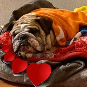 Meet your Posher, Leah